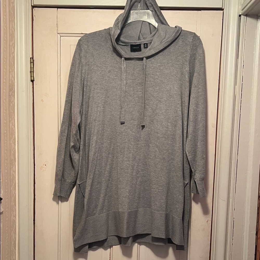 Cyrus Gray Hooded Sweatshirt